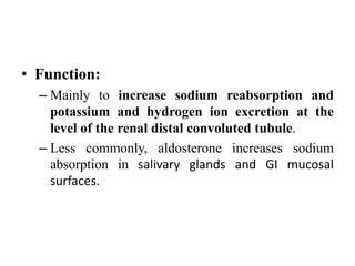 • Function:
– Mainly to increase sodium reabsorption and
potassium and hydrogen ion excretion at the
level of the renal distal convoluted tubule.
– Less commonly, aldosterone increases sodium
absorption in salivary glands and GI mucosal
surfaces.
 