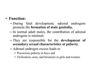 • Function:
– During fetal development, adrenal androgens
promote the formation of male genitalia.
– In normal adult males, the contribution of adrenal
androgens is minimal;
– They are responsible for the development of
secondary sexual characteristics at puberty.
– Adrenal androgen excess leads to
• Precocious puberty in boys and
• Virilization, acne, and hirsutism in girls and women.
 