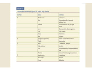 Adrenal Gland- Basic.