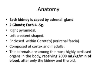 Anatomy
• Each kidney is caped by adrenal gland
• 2 Glands; Each 4 -5g.
• Right pyramidal.
• Left crescent shaped.
• Enclosed within Gerota’s( perirenal fascia)
• Composed of cortex and medulla.
• The adrenals are among the most highly perfused
organs in the body, receiving 2000 mL/kg/min of
blood, after only the kidney and thyroid.
 