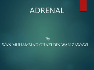 ADRENAL
By
WAN MUHAMMAD GHAZI BIN WAN ZAWAWI
 