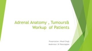 Adrenal Anatomy , Tumours&
Workup of Patients
Presentation- Vikash Singh
Moderator: Dr Palaniappan
 