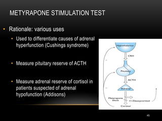 Adrenal function, testing and disorder.pdf