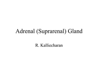 Adrenal (Suprarenal) Gland
R. Kalliecharan
 