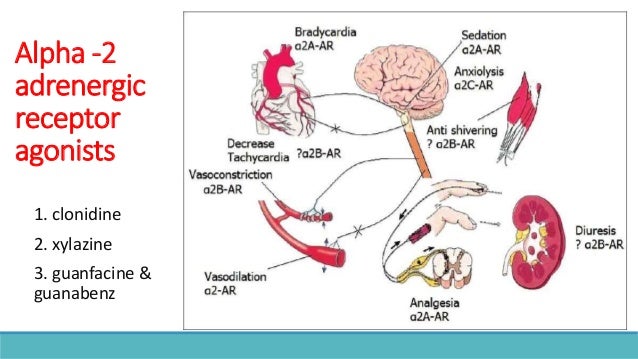 Neurontin alcohol cravings