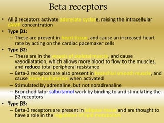 Beta receptors
• All β receptors activate adenylate cyclase, raising the intracellular
cAMP concentration
• Type β1:
– These are present in heart tissue, and cause an increased heart
rate by acting on the cardiac pacemaker cells
• Type β2:
– These are in the vessels of skeletal muscle, and cause
vasodilatation, which allows more blood to flow to the muscles,
and reduce total peripheral resistance
– Beta-2 receptors are also present in bronchial smooth muscle, and
cause bronchodilatation when activated
– Stimulated by adrenaline, but not noradrenaline
– Bronchodilator salbutamol work by binding to and stimulating the
β2 receptors
• Type β3:
– Beta-3 receptors are present in adipose tissue and are thought to
have a role in the regulation of lipid metabolism
 