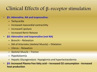 Clinical Effects of β-receptor stimulation
• β1: Adrenaline, NA and Isoprenaline:
– Tachycardia
– Increased myocardial contractility
– Increased Lipolysis
– Increased Renin Release
• β2: Adrenaline and Isoprenaline (not NA)
– Bronchi – Relaxation
– SM of Arterioles (skeletal Muscle) – Dilatation
– Uterus – Relaxation
– Skeletal Muscle – Tremor
– Hypokalaemia
– Hepatic Glycogenolysis Hypoglcmia and hyperlactiacidemia
• β3: Increased Plasma free fatty acid – increased O2 consumption - increased
heat production
 