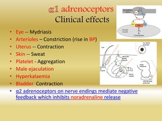 adrenoceptors
Clinical effects
• Eye -- Mydriasis
• Arterioles – Constriction (rise in BP)
• Uterus -- Contraction
• Skin -- Sweat
• Platelet - Aggregation
• Male ejaculation
• Hyperkalaemia
• Bladder Contraction
• α2 adrenoceptors on nerve endings mediate negative
feedback which inhibits noradrenaline release
 