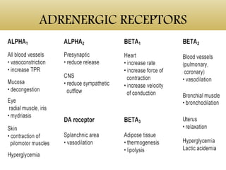ADRENERGIC RECEPTORS
 