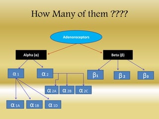 How Many of them ????
Alpha (α) Beta (β)
Adenoreceptors
α1
β3β2β1α2
α2B α2Cα2A
α1A α1B α1D
 