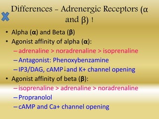 Differences - Adrenergic Receptors (α
and β) !
• Alpha (α) and Beta (β)
• Agonist affinity of alpha (α):
–adrenaline > noradrenaline > isoprenaline
–Antagonist: Phenoxybenzamine
–IP3/DAG, cAMP and K+ channel opening
• Agonist affinity of beta (β):
–isoprenaline > adrenaline > noradrenaline
–Propranolol
–cAMP and Ca+ channel opening
 
