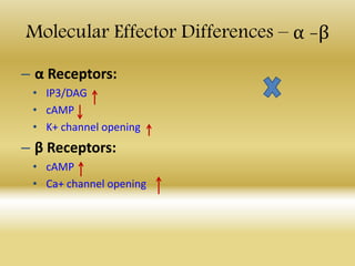 Molecular Effector Differences – α -β
– α Receptors:
• IP3/DAG
• cAMP
• K+ channel opening
– β Receptors:
• cAMP
• Ca+ channel opening
 