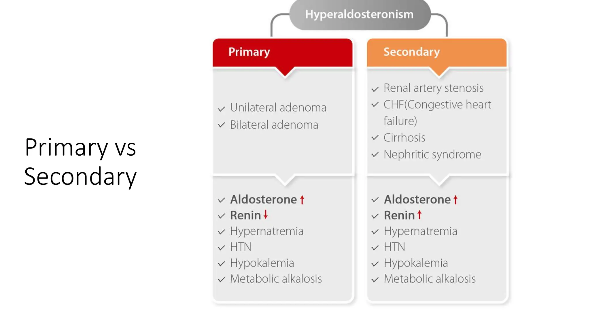 Primary vs
Secondary
 