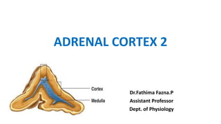 ADRENAL CORTEX 2
Dr.Fathima Fazna.P
Assistant Professor
Dept. of Physiology
 
