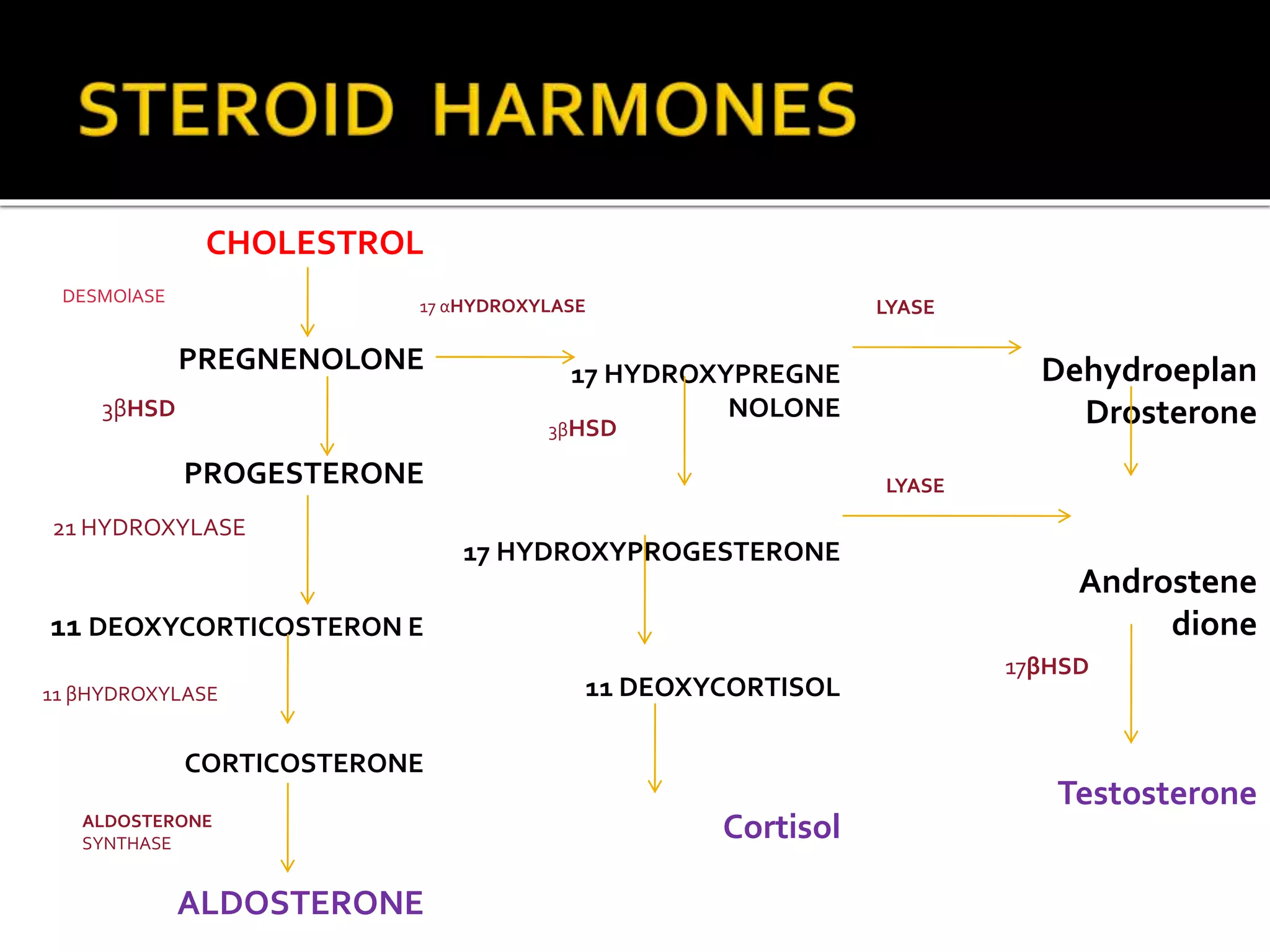 CHOLESTROL
PREGNENOLONE
PROGESTERONE
11 DEOXYCORTICOSTERON E
CORTICOSTERONE
ALDOSTERONE
17 HYDROXYPREGNE
NOLONE
17 HYDROXYPROGESTERONE
11 DEOXYCORTISOL
Cortisol
Dehydroeplan
Drosterone
Androstene
dione
Testosterone
DESMOlASE
3βHSD
21 HYDROXYLASE
11 βHYDROXYLASE
ALDOSTERONE
SYNTHASE
17 αHYDROXYLASE LYASE
LYASE
3βHSD
17βHSD
 