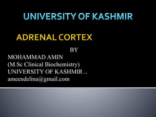 BY
MOHAMMAD AMIN
(M.Sc Clinical Biochemistry)
UNIVERSITY OF KASHMIR ..
ameendelina@gmail.com
 