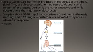 • Corticosteroids are hormones produced in the cortex of the adrenal
gland. They are glucocorticoids, mineralocorticoids and a small
amount of androgens. Cortisol is the major glucocorticoid while
aldosterone is the major mineralocorticoid.
• Everyday about 10-20 mg of hydrocortisone (maximum in the early
morning) and 0.125 mg of aldosterone are secreted. They are also
released in response
to stress.
 