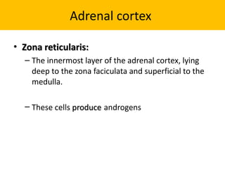 Zona Reticularis adrenal diese.pptx