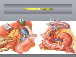 Drenagem venosa Esquerda Direita 