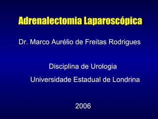 Adrenalectomia Laparoscópica Dr. Marco Aurélio de Freitas Rodrigues 2006 Disciplina de Urologia Universidade Estadual de Londrina 