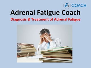 Adrenal Fatigue Coach
Diagnosis & Treatment of Adrenal Fatigue
 
