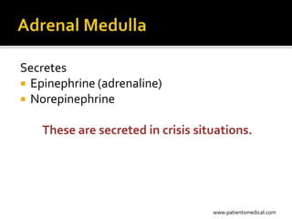 Secretes
 Epinephrine (adrenaline)
 Norepinephrine


    These are secreted in crisis situations.




                                    www.patientsmedical.com
 