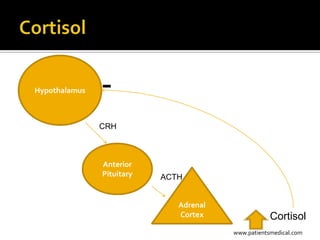 Hypothalamus   -
               CRH



               Anterior
               Pituitary   ACTH


                              Adrenal
                              Cortex                Cortisol
                                        www.patientsmedical.com
 