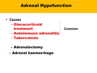 • Causes
– Glucocorticoid
treatment
– Autoimmune adrenalitis
– Tuberculosis
– Adrenalectomy
– Adrenal haemorrhage
Adrenal Hypofunction
Common
 