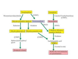 adrenal function tests.pptx