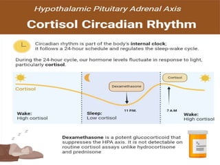 Adrenal Function Tests DETAILS OF ADRENAL FUNCTION TESTS AND CLINICAL ...