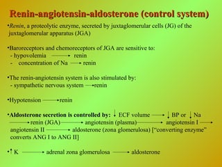 Renin-angiotensin-aldosterone (control system)Renin-angiotensin-aldosterone (control system)
•Renin, a proteolytic enzyme, secreted by juxtaglomerular cells (JG) of the
juxtaglomerular apparatus (JGA)
•Baroreceptors and chemoreceptors of JGA are sensitive to:
- hypovolemia renin
- concentration of Na renin
•The renin-angiotensin system is also stimulated by:
- sympathetic nervous system renin
•Hypotension renin
•Aldosterone secretion is controlled by: ECF volume BP or Na
renin (JGA) angiotensin (plasma) angiotensin I
angiotensin II aldosterone (zona glomerulosa) [“converting enzyme”
converts ANG I to ANG II]
• K adrenal zona glomerulosa aldosterone
 