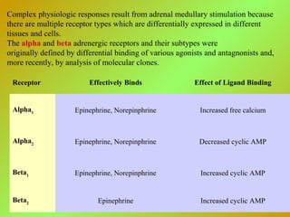 Complex physiologic responses result from adrenal medullary stimulation because
there are multiple receptor types which are differentially expressed in different
tissues and cells.
The alpha and beta adrenergic receptors and their subtypes were
originally defined by differential binding of various agonists and antagnonists and,
more recently, by analysis of molecular clones.
Receptor Effectively Binds Effect of Ligand Binding
Alpha1 Epinephrine, Norepinphrine Increased free calcium
Alpha2 Epinephrine, Norepinphrine Decreased cyclic AMP
Beta1 Epinephrine, Norepinphrine Increased cyclic AMP
Beta2 Epinephrine Increased cyclic AMP
 