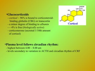 •Glucocorticoids
- cortisol ~ 96% is bound to corticosteroid-
binding globulin (CBG) or transcortin
- a minor degree of binding to albumin
- ~ 4% is free (biologically active)
- corticosterone (secreted 1/10th amount
of cortisol)
•Plasma level follows circadian rhythm:
- highest between 4.00 – 8.00 am
- levels secondary to variation in ACTH and circadian rhythm of CRF
 
