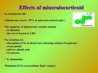 Effects of mineralocorticoidEffects of mineralocorticoid
•Is essential for life
•Aldosterone exerts ~95% of mineralocorticoid effect
•The majority of aldosterone remains bound:
- to albumin
- the rest is bound to CBG
•Na retention by:
- absorption of Na in distal and collecting tubules of nephrons
- sweat glands
- salivary glands and
- GI mucosa
• K elimination
•Maintains ECF (extracellular fluid volume)
 