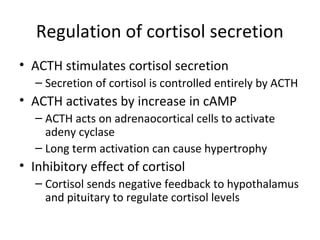 Regulation of cortisol secretion
• ACTH stimulates cortisol secretion
– Secretion of cortisol is controlled entirely by ACTH
• ACTH activates by increase in cAMP
– ACTH acts on adrenaocortical cells to activate
adeny cyclase
– Long term activation can cause hypertrophy
• Inhibitory effect of cortisol
– Cortisol sends negative feedback to hypothalamus
and pituitary to regulate cortisol levels
 