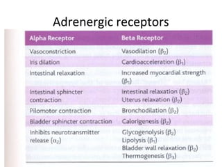 Adrenergic receptors
 