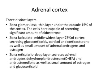 Adrenal cortex
Three distinct layers-
• Zona glomerulosa- thin layer under the capsule 15% of
the cortex. The cells here capable of secreting
significant amount of aldosterone
• Zona fasiculata- middle widest layer 75%of cortex
secreting glucocorticoids, cortisol and corticosterone
as well as small amount of adrenal androgens and
estrogen
• Zona reticularis- deep layer secretes adrenal
androgens dehydroepiandrosterone(DHEA) and
androstenedione as well as small amount of estrogen
and glucocorticoid
 