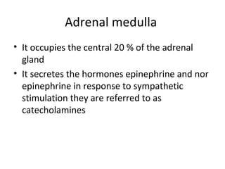 Adrenal medulla
• It occupies the central 20 % of the adrenal
gland
• It secretes the hormones epinephrine and nor
epinephrine in response to sympathetic
stimulation they are referred to as
catecholamines
 