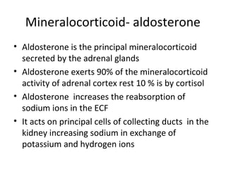 Mineralocorticoid- aldosterone
• Aldosterone is the principal mineralocorticoid
secreted by the adrenal glands
• Aldosterone exerts 90% of the mineralocorticoid
activity of adrenal cortex rest 10 % is by cortisol
• Aldosterone increases the reabsorption of
sodium ions in the ECF
• It acts on principal cells of collecting ducts in the
kidney increasing sodium in exchange of
potassium and hydrogen ions
 