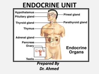 ENDOCRINE UNIT
Prepared By
Dr. Ahmed
 