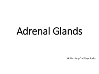 Adrenal Glands
Guide: Surg Cdr Divya Shelly
 