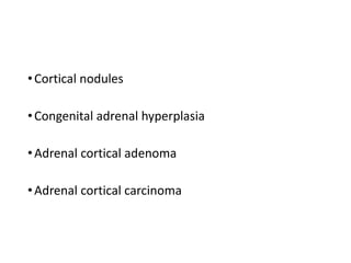 •Cortical nodules
•Congenital adrenal hyperplasia
•Adrenal cortical adenoma
•Adrenal cortical carcinoma
 