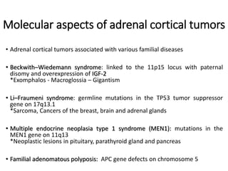 Molecular aspects of adrenal cortical tumors
• The most common abnormality in carcinoma is overexpression of IGF-2,
report...