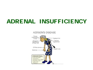 DISORDERS OF ADRENAL CORTEX | PDF