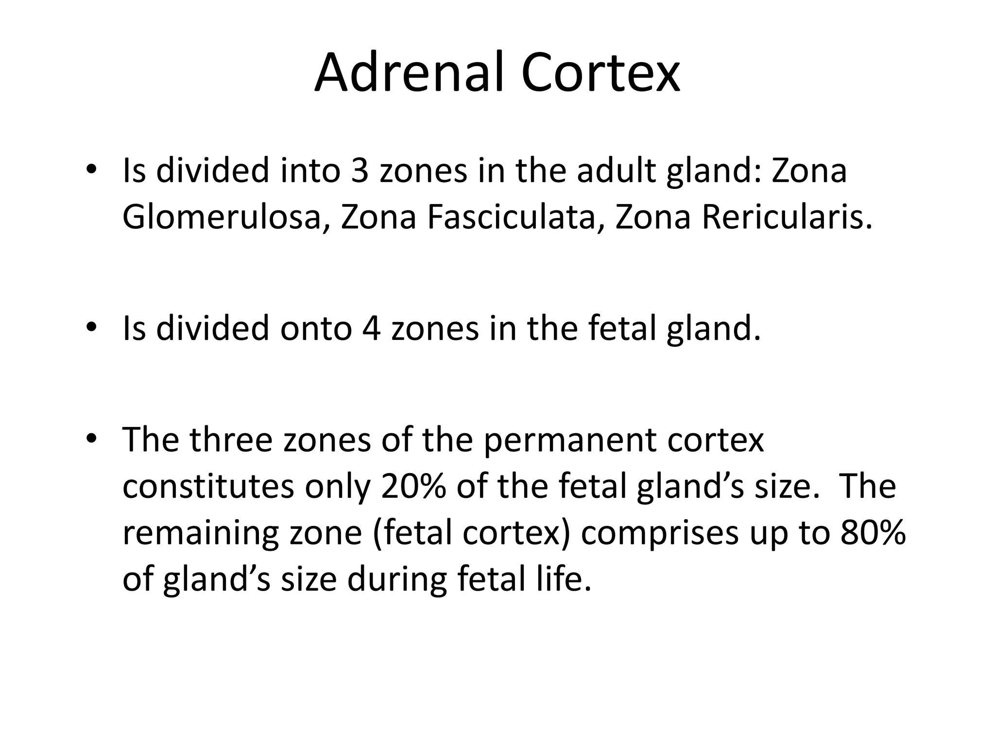 Adrenal Cortex
• Is divided into 3 zones in the adult gland: Zona
Glomerulosa, Zona Fasciculata, Zona Rericularis.
• Is divided onto 4 zones in the fetal gland.
• The three zones of the permanent cortex
constitutes only 20% of the fetal gland’s size. The
remaining zone (fetal cortex) comprises up to 80%
of gland’s size during fetal life.
 