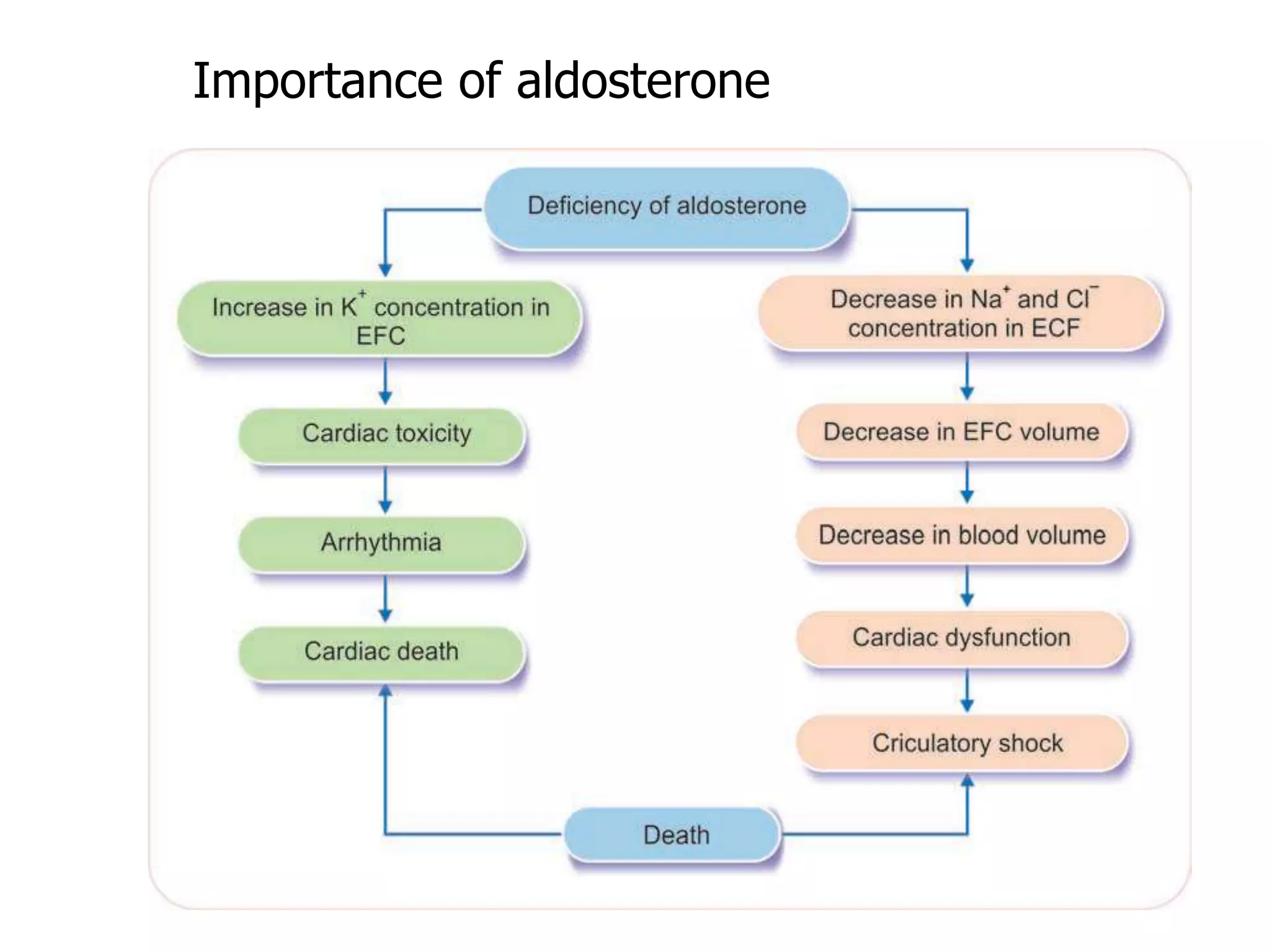 Importance of aldosterone
 