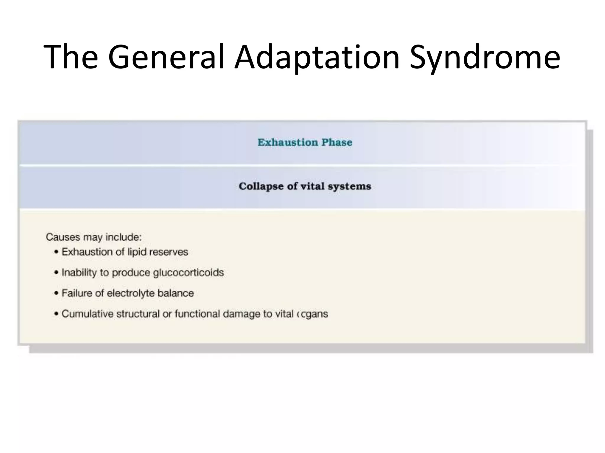The General Adaptation Syndrome
 
