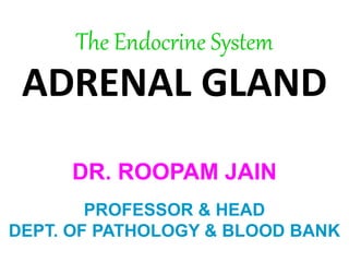 The Endocrine System
ADRENAL GLAND
DR. ROOPAM JAIN
PROFESSOR & HEAD
DEPT. OF PATHOLOGY & BLOOD BANK
 