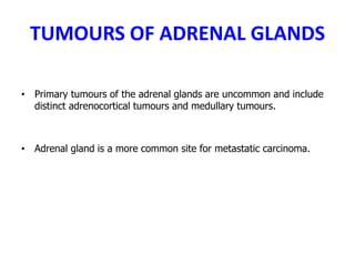 TUMOURS OF ADRENAL GLANDS
• Primary tumours of the adrenal glands are uncommon and include
distinct adrenocortical tumours and medullary tumours.
• Adrenal gland is a more common site for metastatic carcinoma.
 