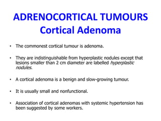 ADRENOCORTICAL TUMOURS
Cortical Adenoma
• The commonest cortical tumour is adenoma.
• They are indistinguishable from hyperplastic nodules except that
lesions smaller than 2 cm diameter are labelled hyperplastic
nodules.
• A cortical adenoma is a benign and slow-growing tumour.
• It is usually small and nonfunctional.
• Association of cortical adenomas with systemic hypertension has
been suggested by some workers.
 
